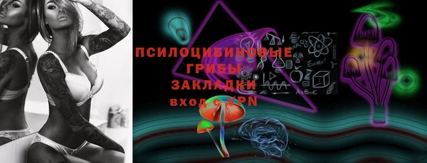 бошки Карпинск