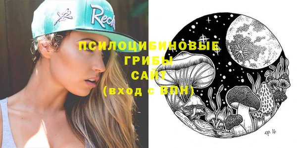 бошки Карпинск