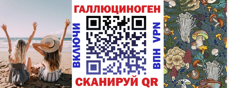 Галлюциногенные грибы MAGIC MUSHROOMS  Купить закладки  Черноголовка 